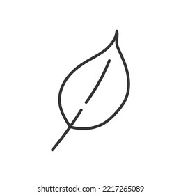 Hand drawn leaf vector icon. Floral flat sign design. EPS 10 linear symbol pictogram.