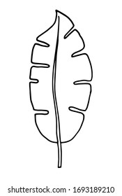hand drawn leaf vector illustration. Big tropical leave. Simple black stroke. flower lineart isolated graphic elements for your design, floral lineart for classic design.