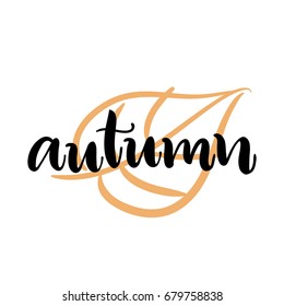 Hand drawn leaf vector illustration with autumn calligraphy. Modern lettering. Festive vector background for decorative design. Easy for stickers, wrapping, prints and many more.