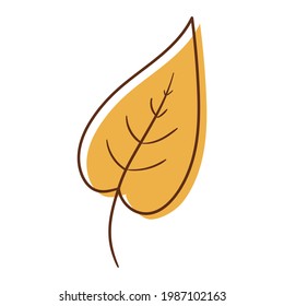 Hand drawn leaf yellow and orange colorful. Isolated on white background. Vector botanical illustration. Hand-drawn doodle autumn elements. 