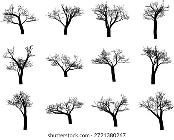 Handgezeichnete, blattlose Baum-Silhouetten-Kollektion einzeln auf weißem Hintergrund für Naturkunst