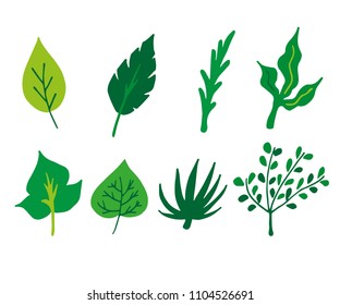 Hand drawn leave