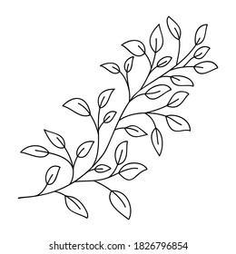 Hand drawn leaves and branch isolated on white. Doodle birch leaves for design. Vector illustration. Botanical print. Organic natural shape. Isolated birch branch