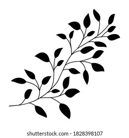 Hand drawn leaves and branch isolated silhouette on white. Doodle birch leaves for design. Vector illustration. Botanical print. Organic natural shape. Isolated birch branch