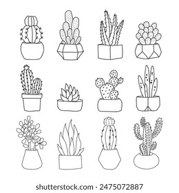 hojas dibujadas a mano y elemento de Vector de cactus