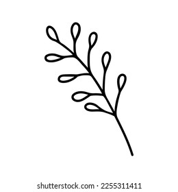 Hand drawn leaves clipart. Line doodle vector illustration