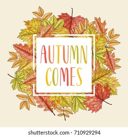  Hand drawn leaves composition. Autumn background. Vector illustration.