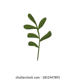 Hand drawn leaves decorative elements. Vector illustration