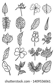 Hand drawn leaves. design art line . sketch doodles of leaf and plants collection. 