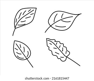 hand drawn Leaves. Doodle leaves isolated on white background. vector illustration