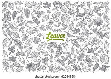 Hand drawn Leaves doodle set background with green lettering in vector