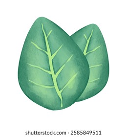 Hand drawn leaves, leaves elements