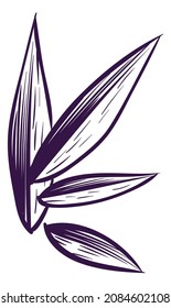 Hojas dibujadas a mano. Papel de árbol grabado. Hoja de caña de azúcar