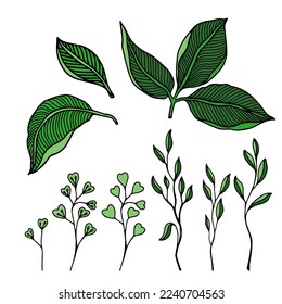 Hand drawn leaves Floral elements set for design 