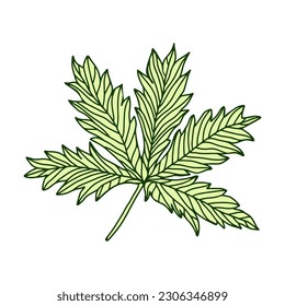 Hand drawn leaves, floral elements isolate on white background.Plants element illustrated Design for decor and print.