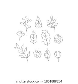 Hand drawn leaves and flowers collection isolated elements. Vector illustration