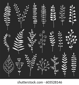 Hand drawn leaves, herbs and branches vector set, botanical collection on black background