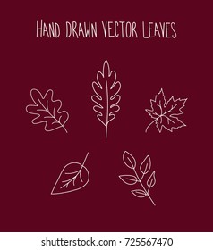 Hand Drawn Leaves Icon Set Over Red Background, Vector Illustration