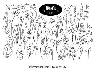  Hand drawn leaves isolated on white background.