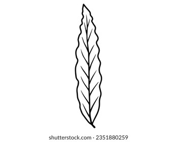 Hand Drawn Leaves Line Art Illustration