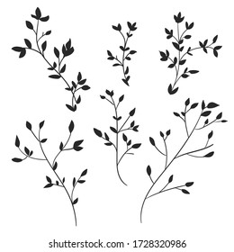 Hand Drawn leaves on a white background. Silhouette Leaves vector illustration