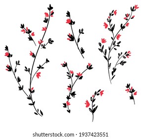 Hand Drawn leaves on a white background. Silhouette Leaves vector illustration