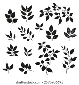 Hand Drawn leaves on a white background. Silhouette Leaves vector illustration