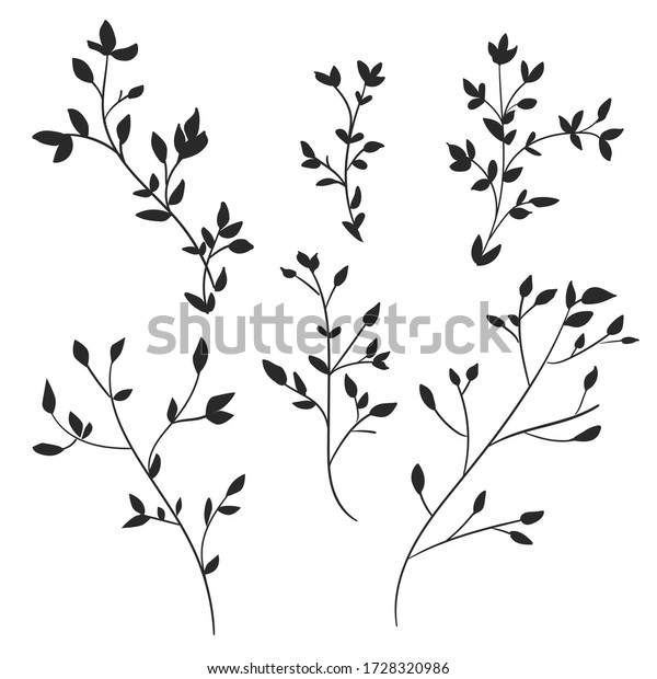 Hand Drawn Leaves On White Background Stock Vector (Royalty Free ...