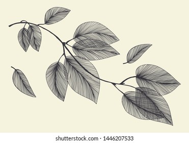 Hand drawn leaves. Openwork pattern with branch. Leaves lace pattern. Doodle. Abstract vector illustration.