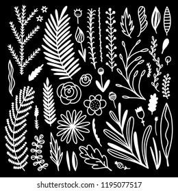 Hand drawn leaves, plants, flowers and branches. Vector natural elements on black background