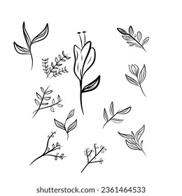 hand drawn leaves and ratings. leaf ornament vector background template.