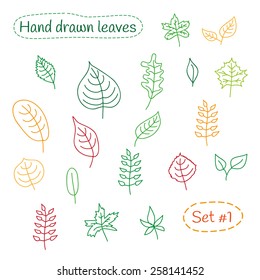 Hand drawn leaves. Set #1