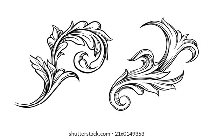 Hand drawn leaves set. Highly detailed floral decor detail vector illustration