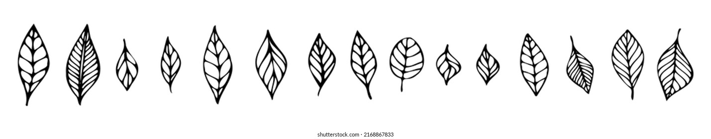 Hojas dibujadas a mano. Hoja de línea en estilo de caricatura para página de colorear, diseño infantil, temporada de primavera, verano, otoño. Iconos de colección botánica para ecología.