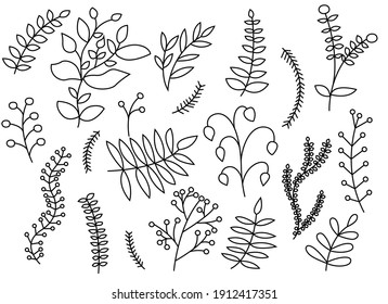 Hand drawn leaves set vector illustration