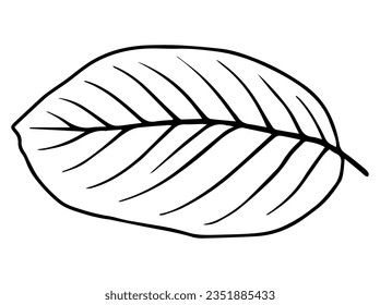Hand Drawn Leaves Sketch Line Art Illustration