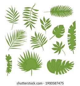 Jungle Leaves Images, Stock Photos & Vectors | Shutterstock