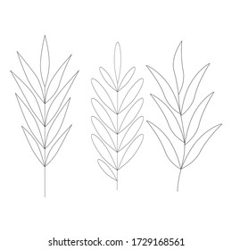 hojas dibujadas a mano línea vectorial tropical arte