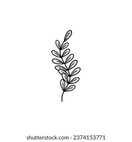 hand drawn of leaves vector illustration. Minimal line art drawing for print, cover or wallpaper