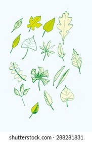 Hand drawn leaves vector set