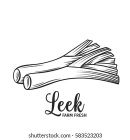 Hand drawn leek icon. Vector badge vegetable in the old ink style for brochures, banner, restaurant menu and market