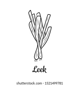 Hand drawn Leek isolated on a white. Vegetables drawings. Vector illustration.