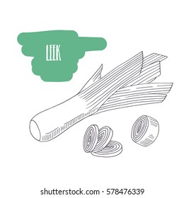 Hand drawn leek isolated on white. Sketch style vegetables with slices for market, kitchen or food package design. Vector illustration