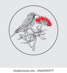 hand drawn lehua bird and flower sketch in engraving style Vector Illustration