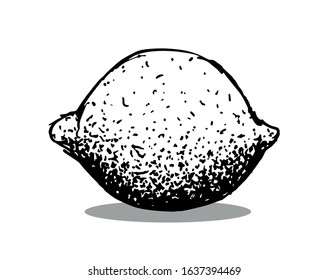 A hand drawn lemon in black and white