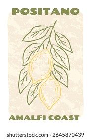 Mão desenhada limão ramo ilustração com folhas. Cartaz estilo esboço vintage Amalfi Coast. Projeto italiano da fruta para a decoração interior da cozinha, lembrança de viagem, embalagem de alimentos, impressão de verão.
