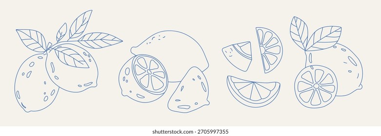 Hand drawn lemon doodle set with whole fruits, slices and leaves, clean outlined style for packaging, patterns, branding and summer design projects, isolated vector illustration.