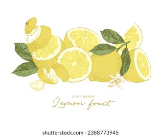 Hand drawn lemon fruit sliced with leaves and flowers. Botanical illustration, ripe summer fruit