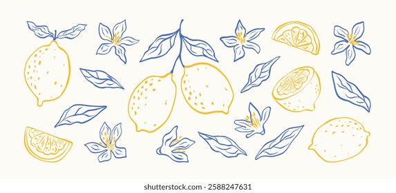 Hand drawn lemon fruits with leaves and flowers. Minimalist line art. Citrus tropical fruits. Italian style. Summer design for pattern, poster, card, cover. Vector modern botanical illustration. 