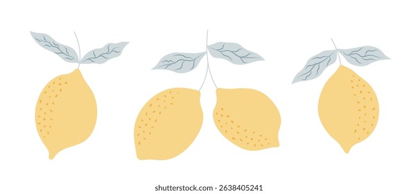 Hand drawn lemon fruits with leaves. Citrus tropical fruits. Summer botanical illustration for pattern, poster, card, banner, cover